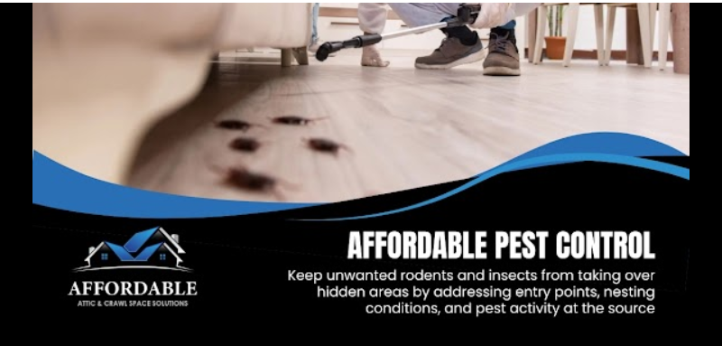 Affordable Attic & Crawl Space Solutions