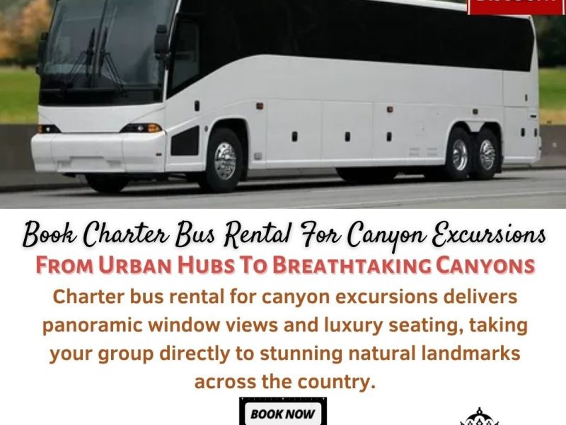 Book Charter Bus Rental For Canyon Excursions | Kings Charter Bus USA