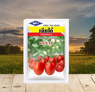 Karan Tomato Seeds | Hindustan Seeds