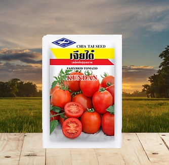 Karan Tomato Seeds | Hindustan Seeds