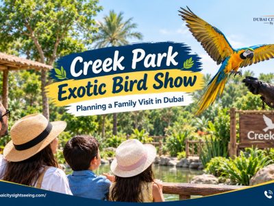 Creek Park Exotic Bird Show – Planning a Family Visit in Dubai