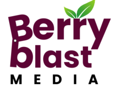 Berry Blast Media - Digital Marketing Agency in Mumbai | PPC | Social Media Marketing | SEO