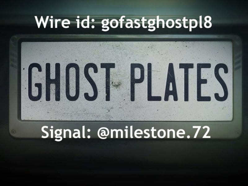 BUY GHOSTPL8 2.0 privacy license plate cover.