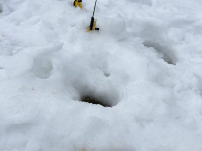 Entdecke die Ruhe des Nordens bei Eisangeltouren in Ylläs
