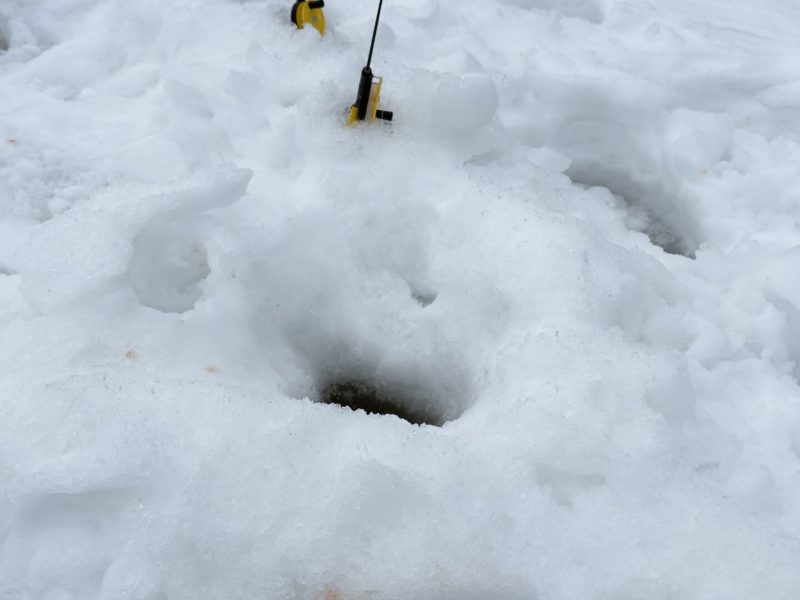 Entdecke die Ruhe des Nordens bei Eisangeltouren in Ylläs