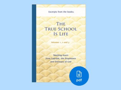 PDF The True School Is Life - The meaning of life