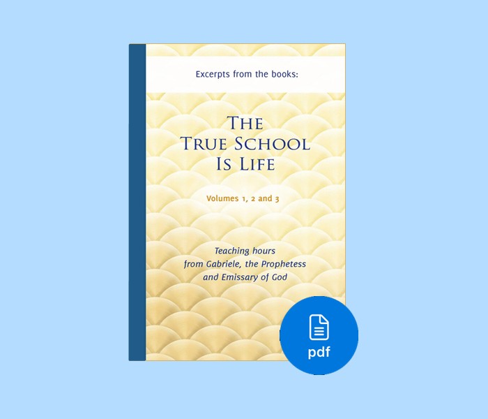 PDF The True School Is Life - The meaning of life