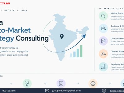India go-to-market strategy consulting