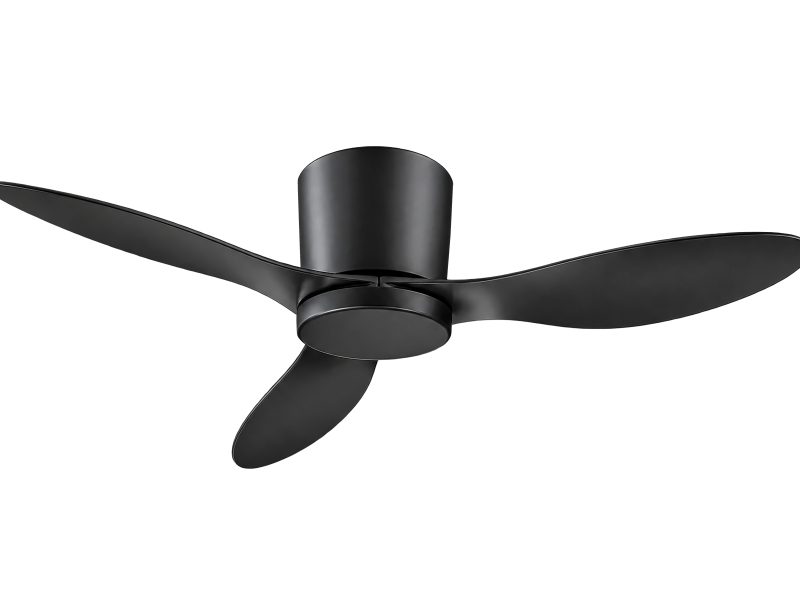 Premium Designer Ceiling Fan at Best Price