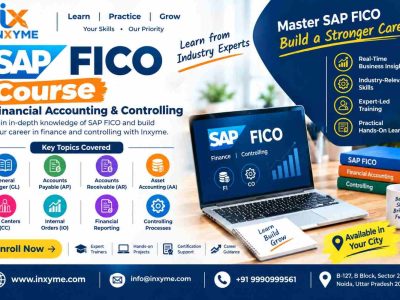 SAP FICO Course for Financial Accounting and Controlling | Inxyme