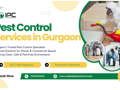 Best Pest Control Services in Gurgaon