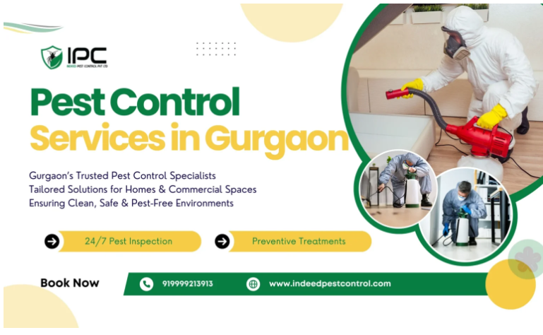 Best Pest Control Services in Gurgaon