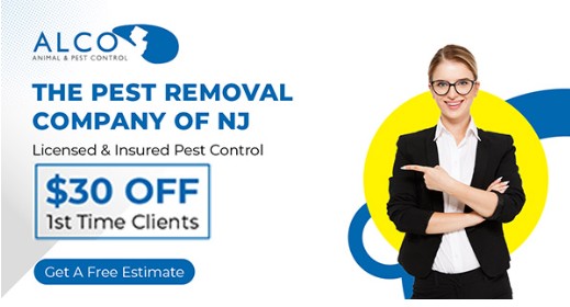 Free Pest Inspection in New Jersey | ALCO Animal & Pest Control