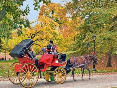 VIP Central Park Carriage Rides