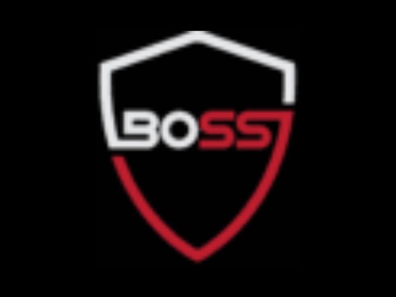 Boss Security Ltd