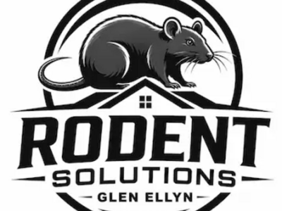 Rodent Solutions Glen Ellyn