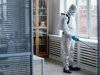 Looking for Reliable Pest Control in Dubai?