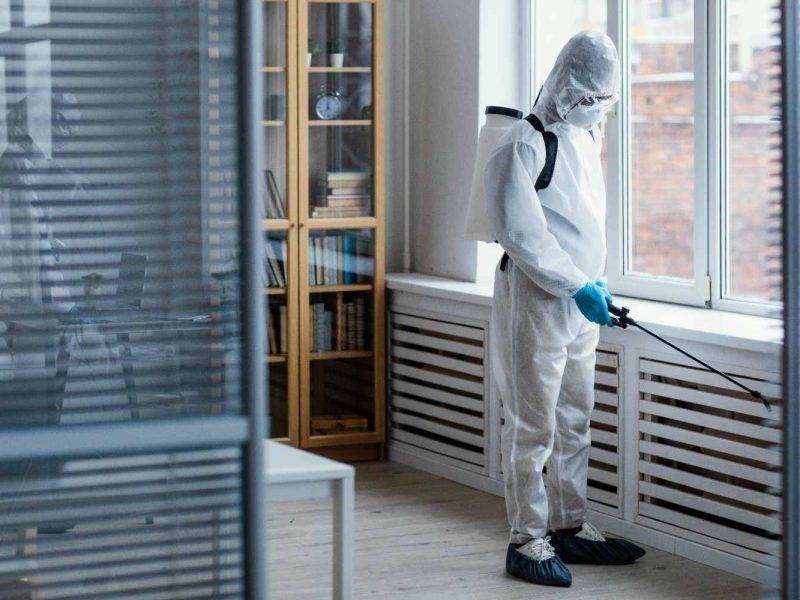 Looking for Reliable Pest Control in Dubai?
