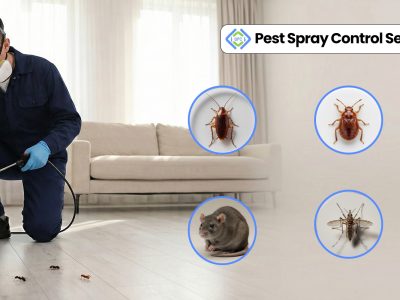 Maintain a Cleaner Workplace with Professional Pest Management