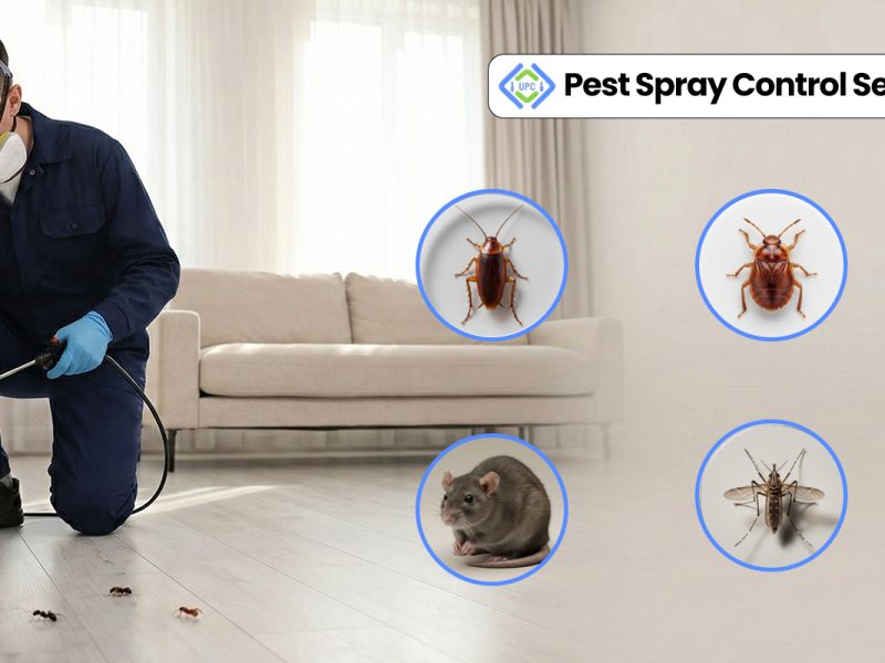 Maintain a Cleaner Workplace with Professional Pest Management