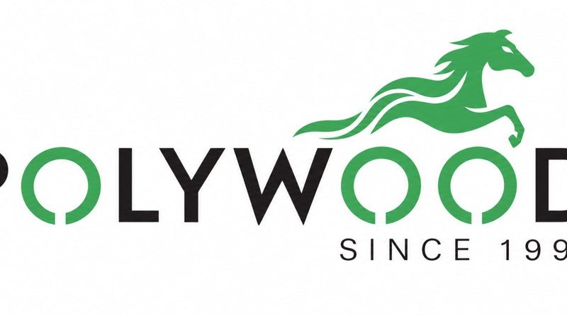 Discover uPVC Door and Window Solutions with Dhabriya Polywood